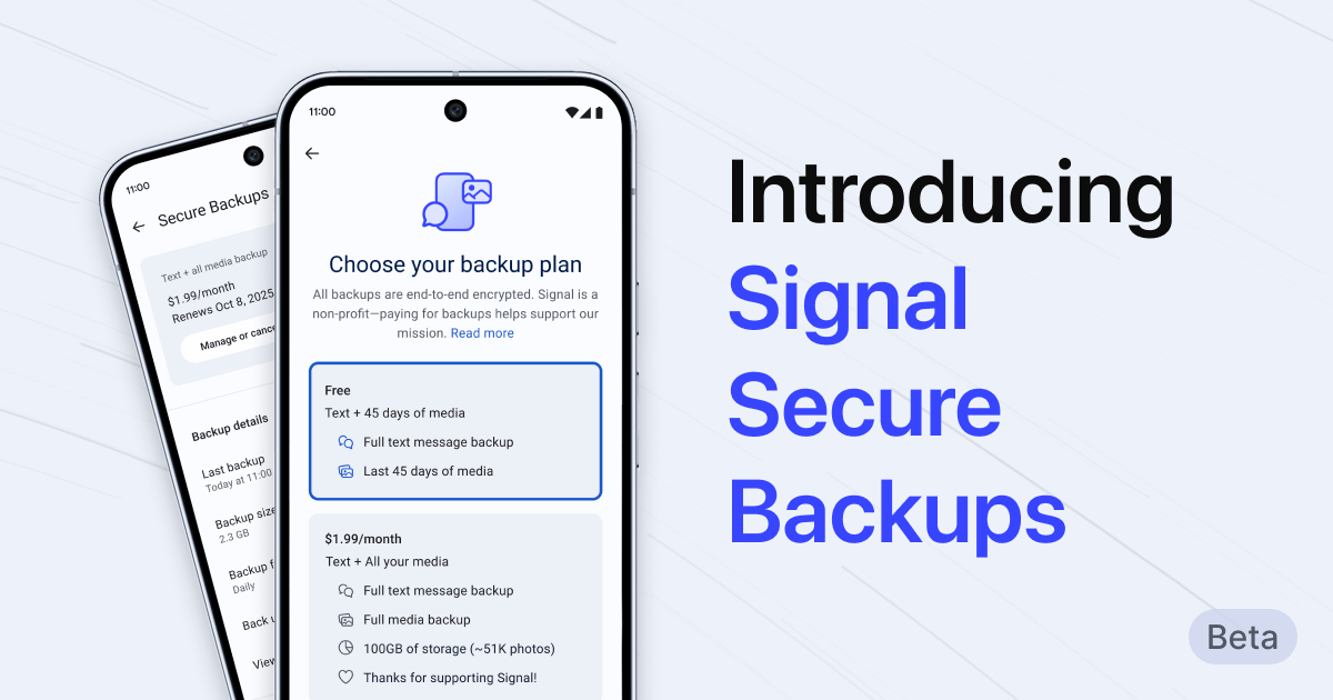 What is the WhatsApp number verification tool